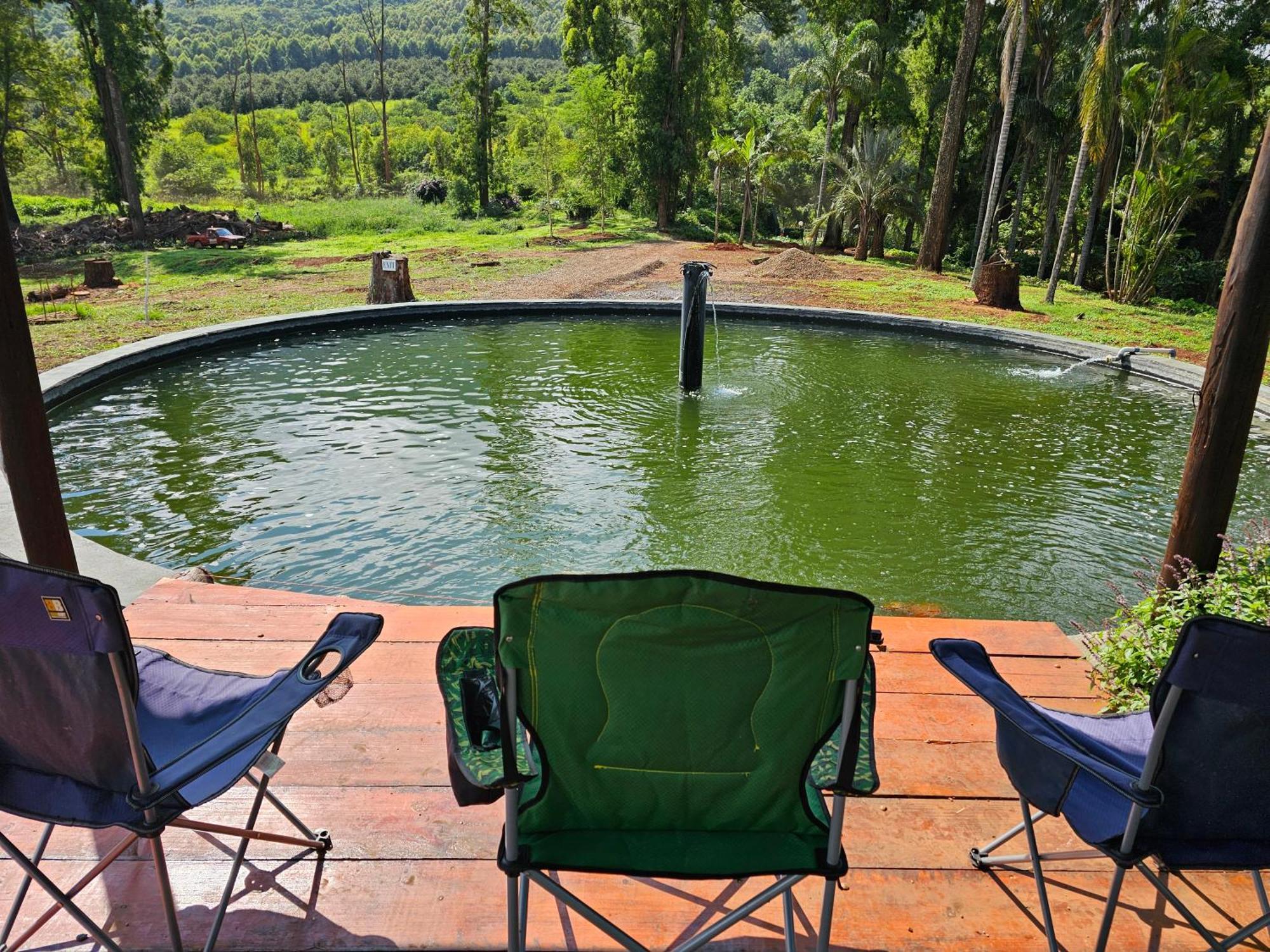 Pecan Farm Guesthouse หลุยส์ทริคาร์ดท์ ภายนอก รูปภาพ