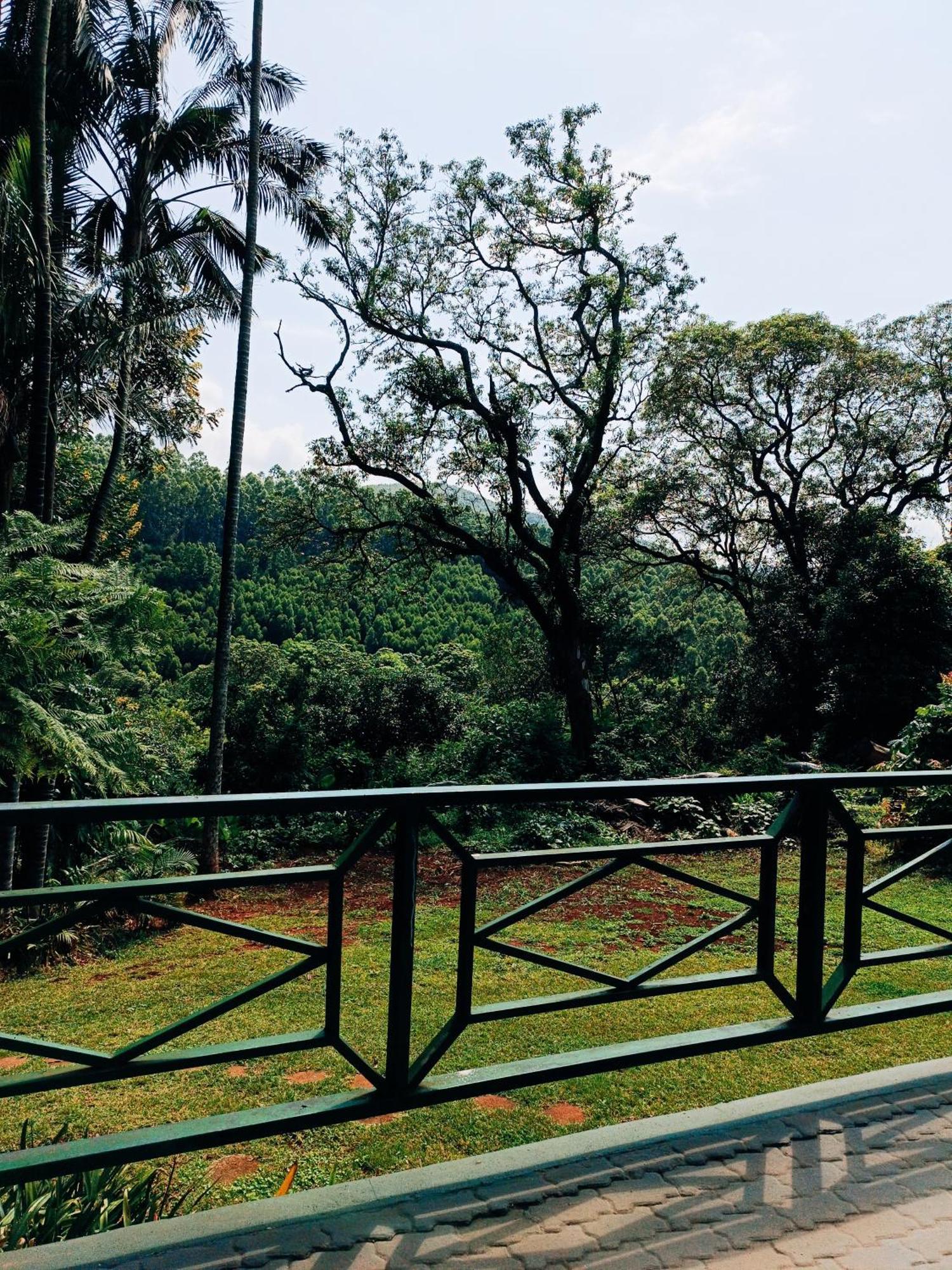 Pecan Farm Guesthouse หลุยส์ทริคาร์ดท์ ภายนอก รูปภาพ