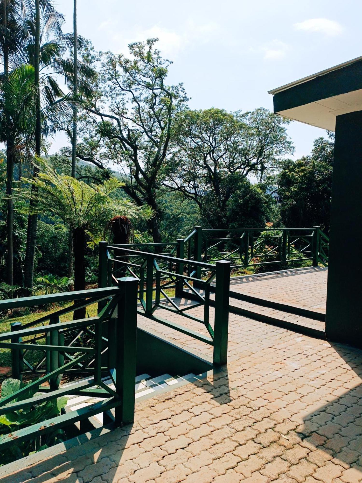 Pecan Farm Guesthouse หลุยส์ทริคาร์ดท์ ภายนอก รูปภาพ