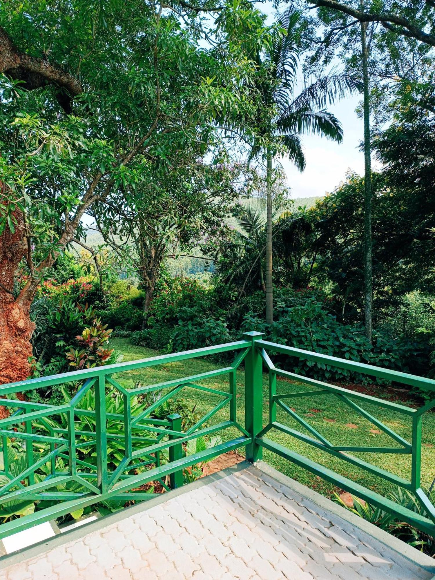 Pecan Farm Guesthouse หลุยส์ทริคาร์ดท์ ภายนอก รูปภาพ