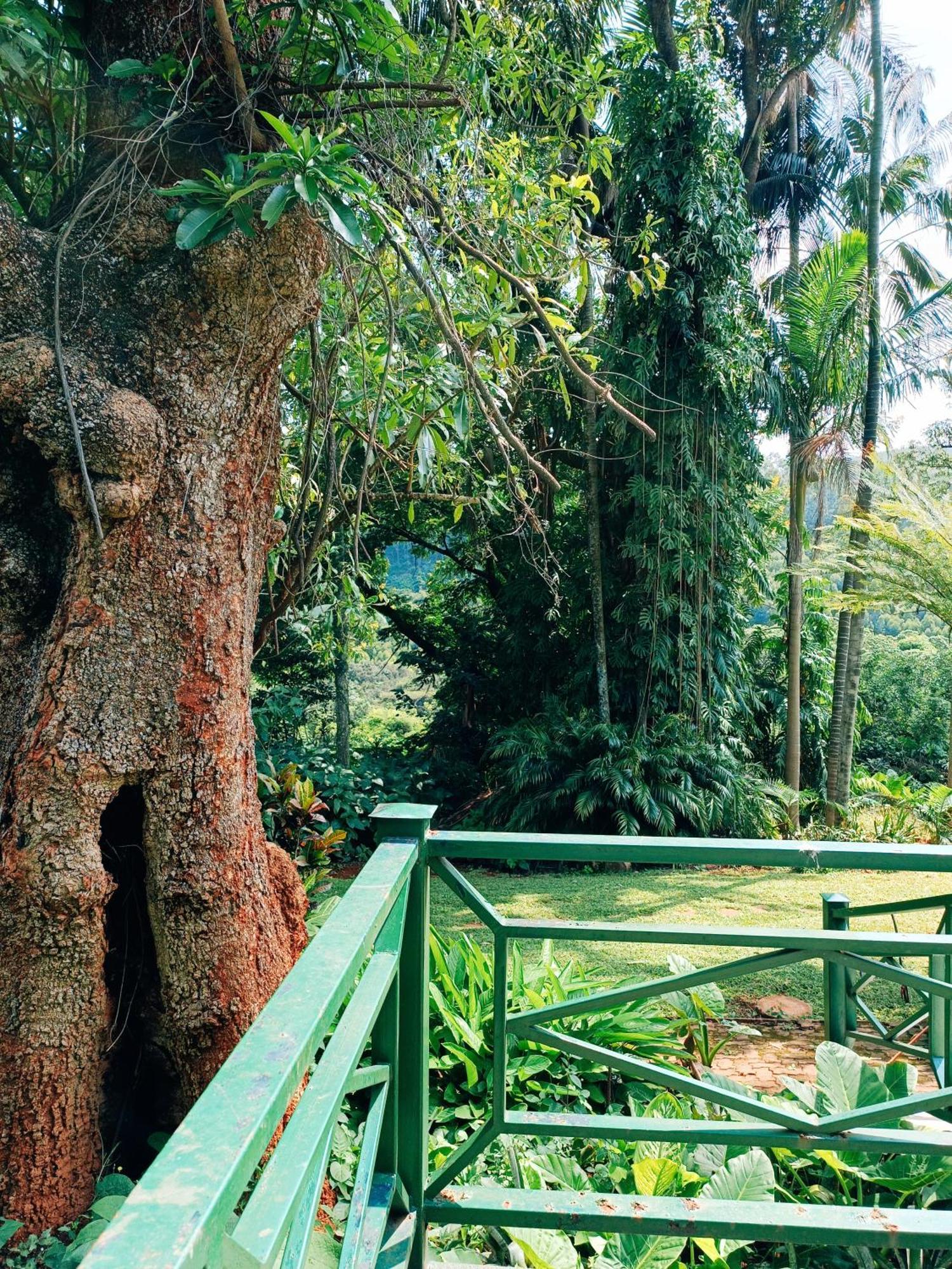 Pecan Farm Guesthouse หลุยส์ทริคาร์ดท์ ภายนอก รูปภาพ